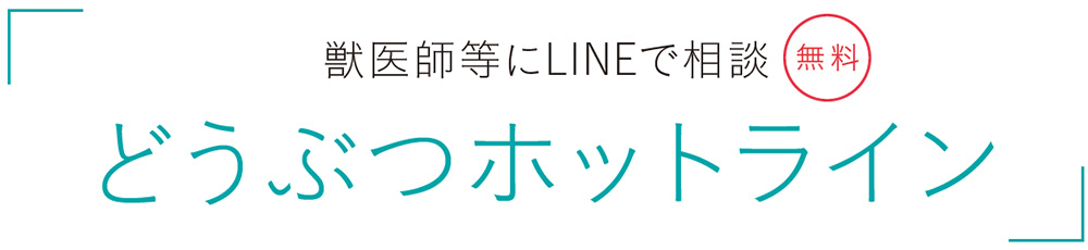 獣医師等にLINEで相談 どうぶつホットライン